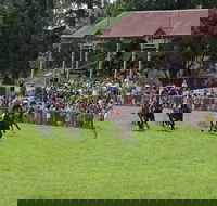 Tumut Boxing Day Races - Your Accommodation
