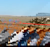 2020 Quorn Cup - Your Accommodation