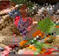 Albany Farmers Market - Your Accommodation