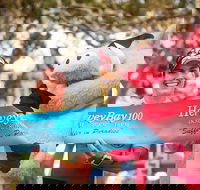 Beach House Hotel Hervey Bay 100 - Your Accommodation