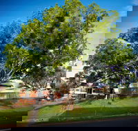 Big Bat Wildlife and Eco Festival - Your Accommodation