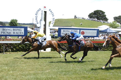 Bong Bong Picnic Races - Your Accommodation 0