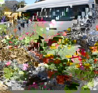 Johns River Country Markets - Your Accommodation