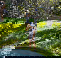 July 2020 Holidays- Forest Smores  Explore - Your Accommodation