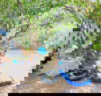 Jungle Love Festival - Your Accommodation