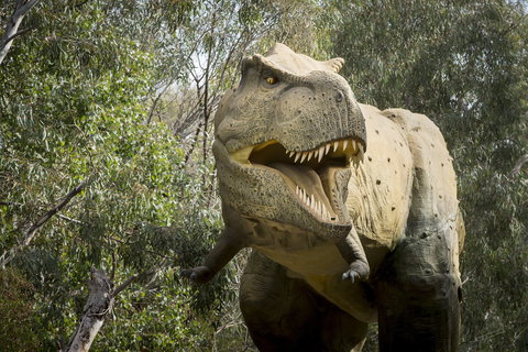 Lost Sanctuary At Healesville Sanctuary - Your Accommodation 2