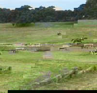 Mount Gambier and District Pony Club Horse Trials 2020 - Your Accommodation