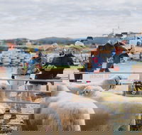 Mudgee Small Farm Field Days - Your Accommodation