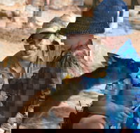 Mums and Cubs And Dads too - Your Accommodation