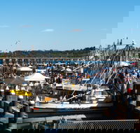 Ocean Harvest Festival - Your Accommodation