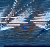 Rathmines Catalina Festival - Your Accommodation