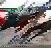 Stroud Rodeo and Campdraft - Your Accommodation