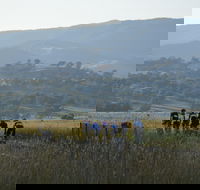 Tumut Cycle Classic - Your Accommodation