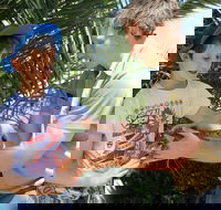 Zoocation at the National Zoo  Aquarium - Your Accommodation