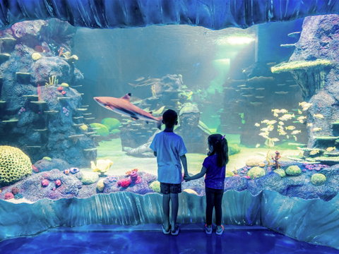 Sydney's Aquarium - Your Accommodation 1