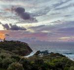 Whale Watch Ocean Beach Resort