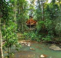 The Canopy Rainforest Treehouses and Wildlife Sanctuary - Your Accommodation