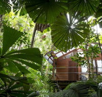 Daintree Wilderness Lodge - Your Accommodation
