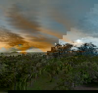 Ocean International - Your Accommodation