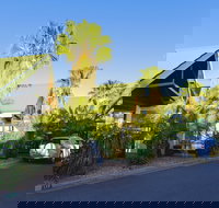 Desert Palms Alice Springs