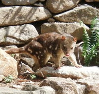 Jenolan Caves House - Your Accommodation