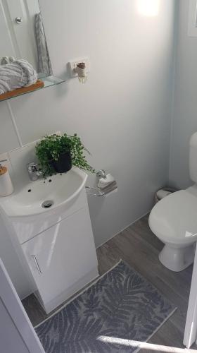 Ceespray On Owen - Your Accommodation 4