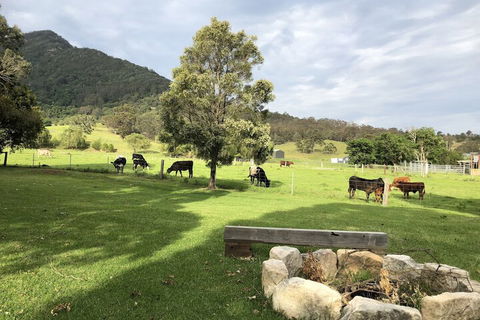 ARCADIA - The Barn Cottage & Rosehill Cottage - Your Accommodation 3