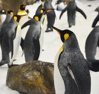 Comfort Hotel Elizabeth Tower