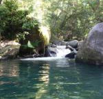 Daintree Secrets Rainforest Sanctuary - Your Accommodation