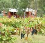 Fergies Hill Spa Cottage at Granite Ridge Wines