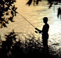 Wooli River Lodges