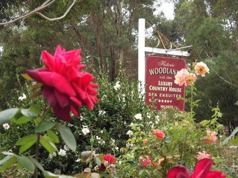 Woodlands Of Bridgetown B & B - Your Accommodation 5