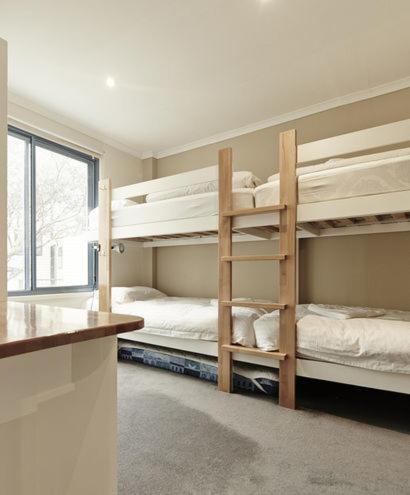 Valley View 203 - Your Accommodation 4