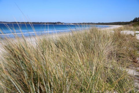 Sandy Toes Beach House Jervis Bay 2min To Beach - Your Accommodation 2