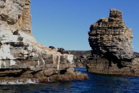 Summer Retreat At Callala Beach - Your Accommodation 7