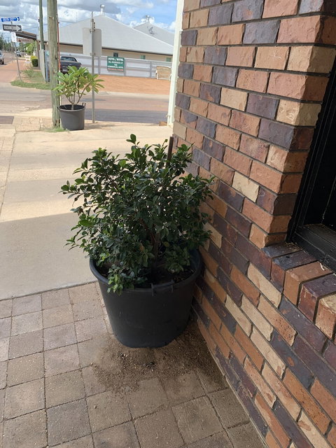 Central Motel - Your Accommodation 0