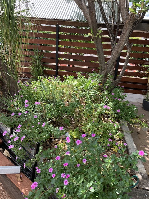 Central Motel - Your Accommodation 3