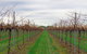 Yalumba Menzies Retreat - thumb 5