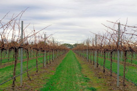 Yalumba Menzies Retreat - Your Accommodation 5