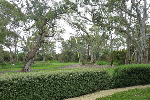Yalumba Menzies Retreat - Your Accommodation 2