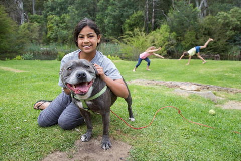 Warburton Holiday Park - Your Accommodation 4