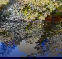 Marco Polo Motor Inn - Your Accommodation