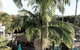 Terrigal Pacific Coastal Retreat - thumb 1
