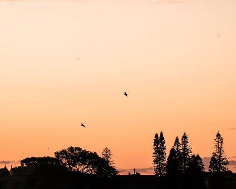 Terrigal Pacific Coastal Retreat - Your Accommodation 5