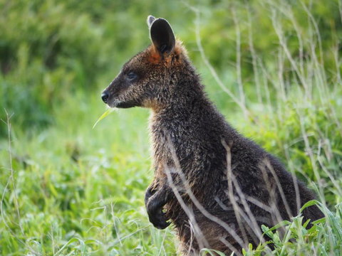 Douglas Riverside - Your Accommodation 1