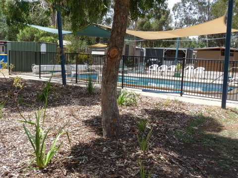 Yarrawonga Riverlands Tourist Park - Your Accommodation 5