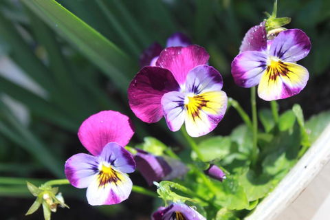 Donnelly House - Your Accommodation 2