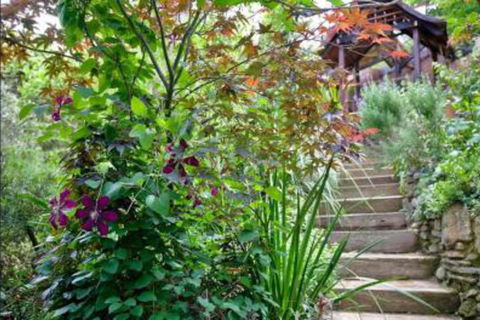 The Black Cockatoo Secret Garden Mountains Home - Your Accommodation 6