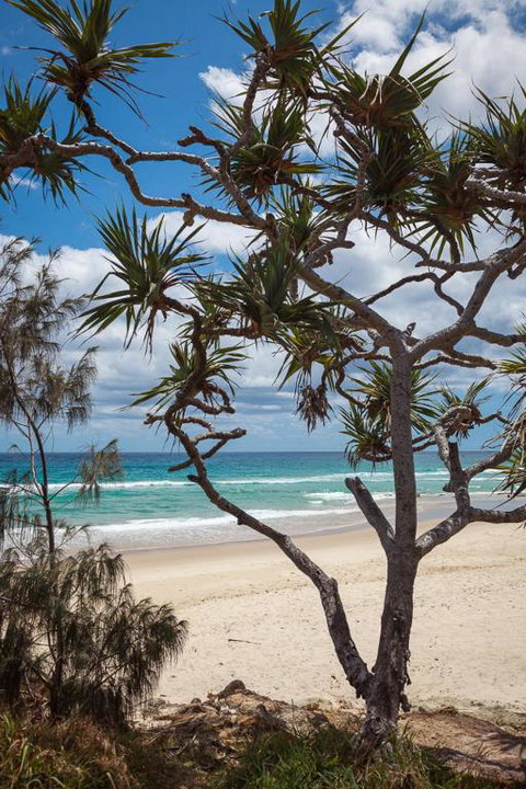 McLeod - Your Accommodation 2