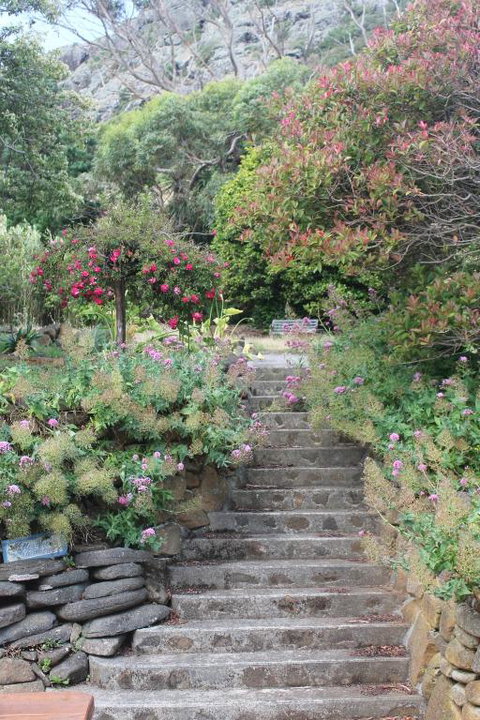 Gardenia House - Your Accommodation 2